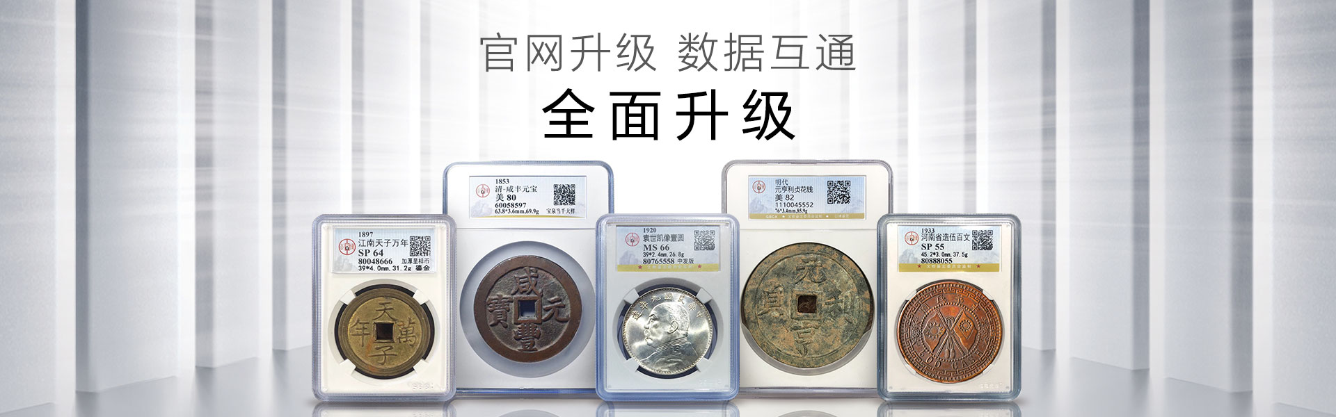 admin/20230901/750de7d4846a0d71ba5ceb28ac89211a.jpg